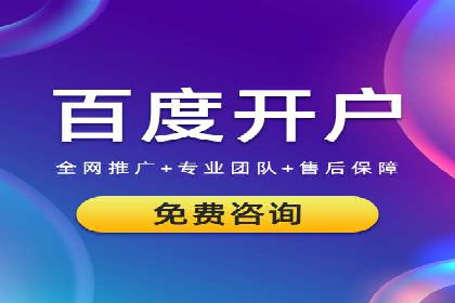 网络推广竞价实战案例分析集